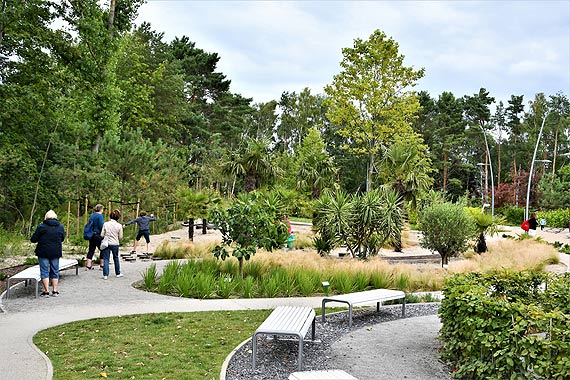 75 gatunkw rolin w Ogrodzie Sensorycznym na promenadzie