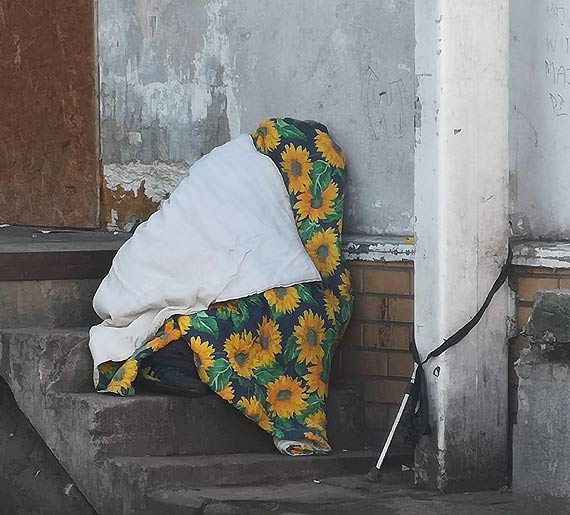 Mieszkanka: Dlaczego nikt im nie pomoe?