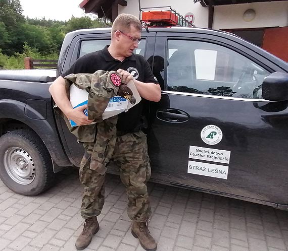 Mody bielik uratowany przez lenikw trafi do orodka w Wielgowie