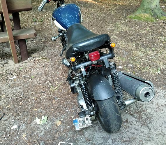 Czytelnik: Tu ludzie staj, aby i na dzik pla