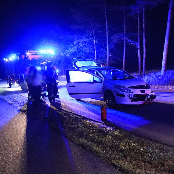 Samochd kontra stado dzikw. Musiao doj do kolizji!