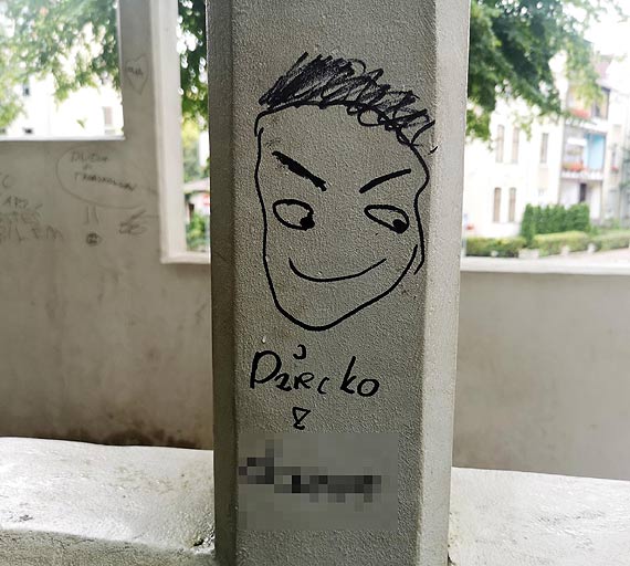 Urzdzenia parkowe przy ul. Chopina odstraszaj rodziny!