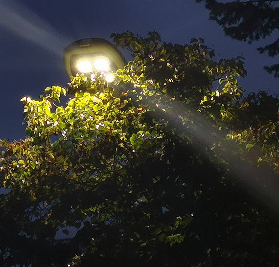 Mieszkaniec: Zakamuflowane lampy?