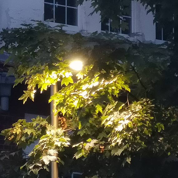 Mieszkaniec: Zakamuflowane lampy?