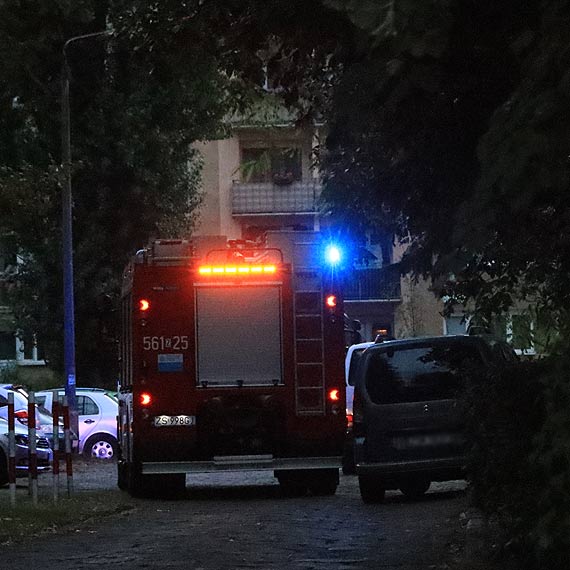 Nalot nietoperzy na miasto. Mieszkacy w strachu