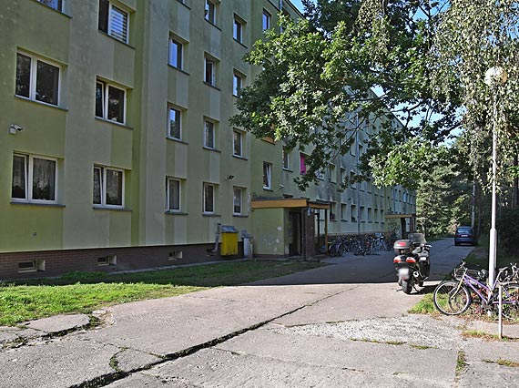 Artur wik: Pomagamy lokatorom w zlikwidowaniu insektw