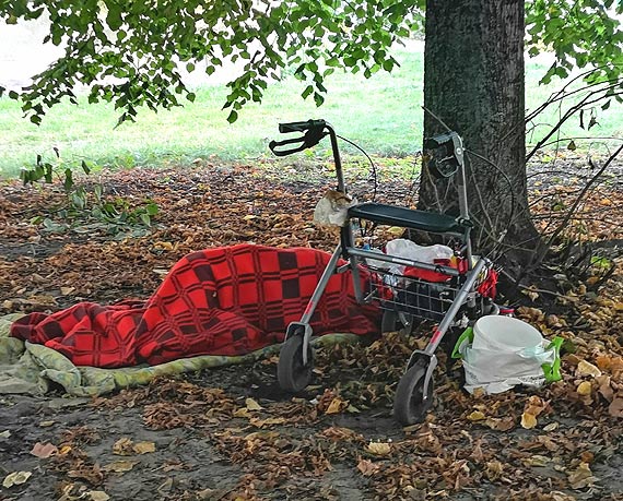 Mieszkanka: Niepenosprawny mczyzna mieszka w centrum miasta pod drzewem!
