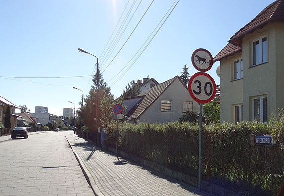 Mieszkaniec: Artyci parkowania na Wielkopolskiej