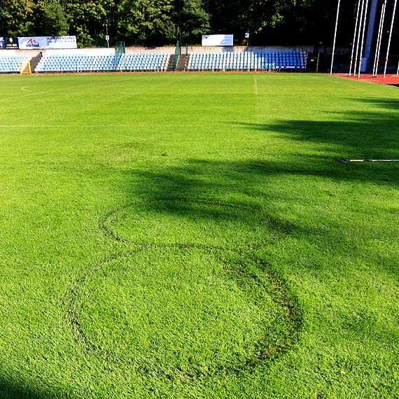 Niewinna zabawa wymkna si spod kontroli. Murawa na stadionie miejskim uszkodzona. Zobacz film!