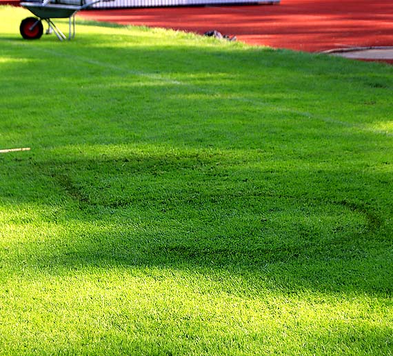 Niewinna zabawa wymkna si spod kontroli. Murawa na stadionie miejskim uszkodzona. Zobacz film!