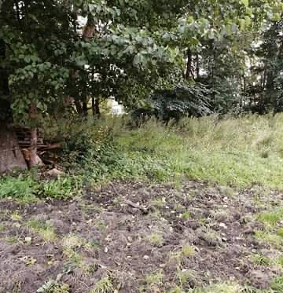 Mieszkańcy Zamkowej i Mieczowej boją się wychodzić po zmroku!