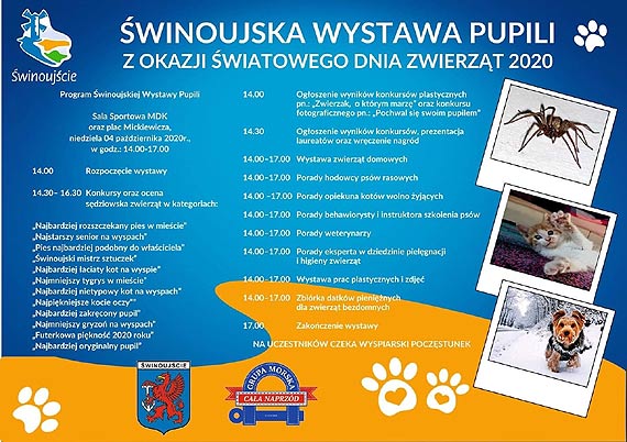 Grupa Morska: Zmiana godzin niedzielnej Wystawy Pupili!