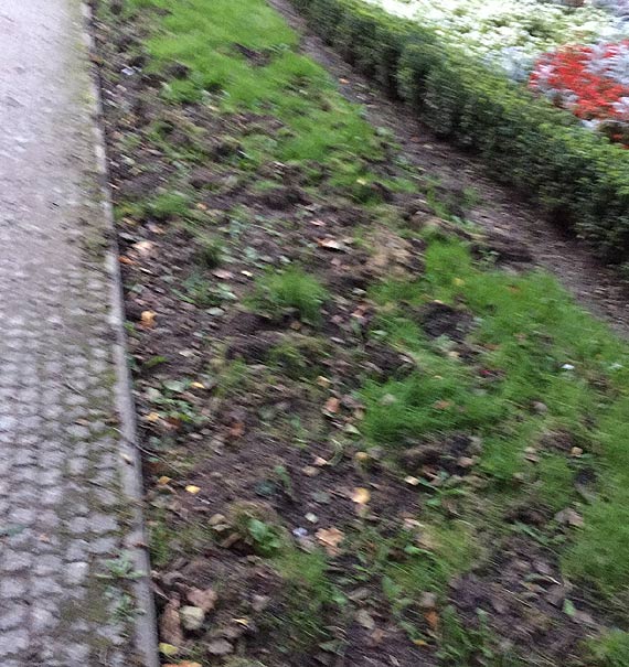 Czytelniczka: Doczam do mieszkacw z ul. Zamkowej