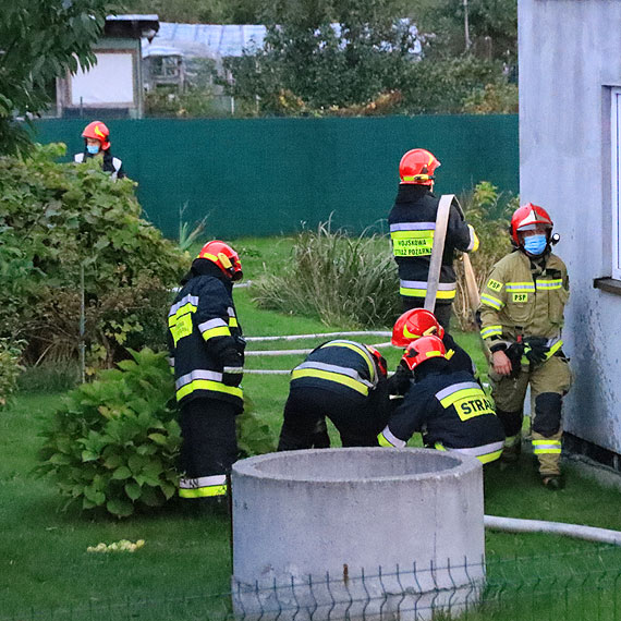 Na działkach płonęła szklarnia. Do gaszenia ruszyły trzy jednostki straży pożarnej