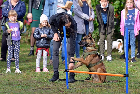Czworonożni przyjaciele świętowali w Świnoujściu Dzień Zwierząt