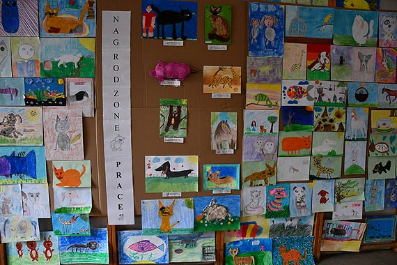 Po Świnoujskiej Wystawie Pupili. Zobacz, kto wygrał konkursy plastyczny i fotograficzny
