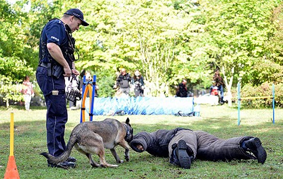 Izi wraz z przewodnikiem wzia udzia w obchodzonym na terenie winoujcia wiatowym Dniu Zwierzt