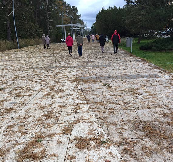 Promenada zmienia kolor?