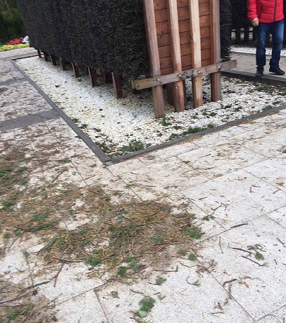 Promenada zmienia kolor?