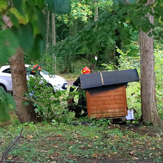 Kto  podpali domek dla kotw i  pozbawi zwierzta ciepego schronienia