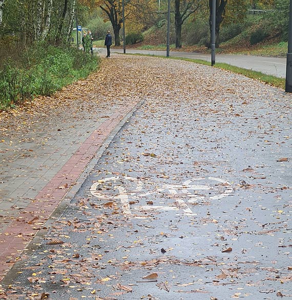 Mieszkaniec: Droga rowerowa wzdłuż ulicy Barlickiego