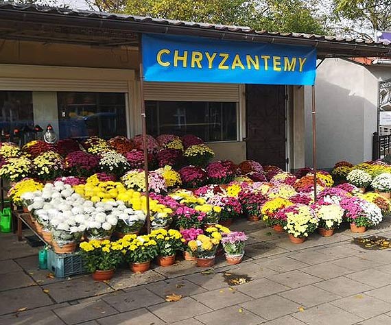Sprzedawcy kwiatw dzikuj mieszkacom!