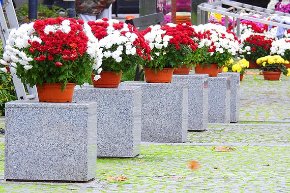 Miasto zosta³o udekorowane na jutrzejsze ¦wiêto Niepodleg³o¶ci