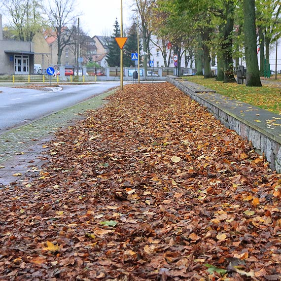 Uwaajmy, na chodnikach le licie - mona si polizgn