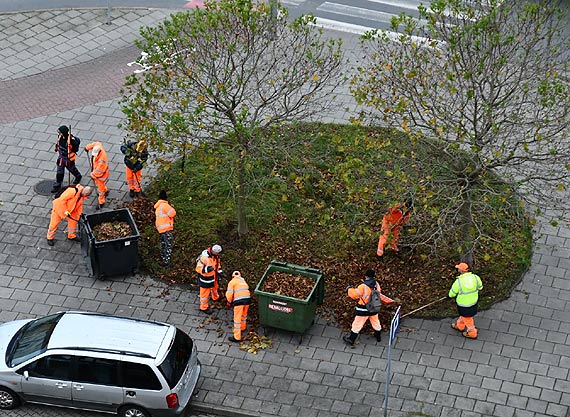 Czytelnik: Praca wre!