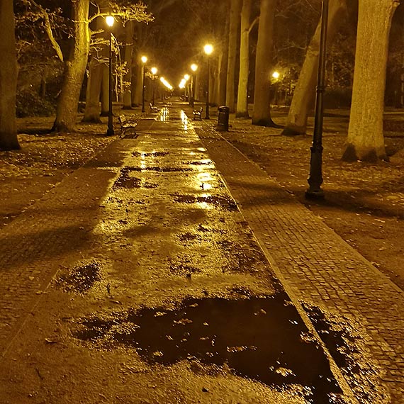 Mieszkaniec - Na spacer do Parku Zdrojowego tylko w kaloszach!