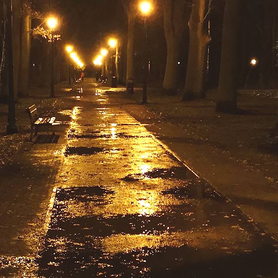 Mieszkaniec - Na spacer do Parku Zdrojowego tylko w kaloszach!