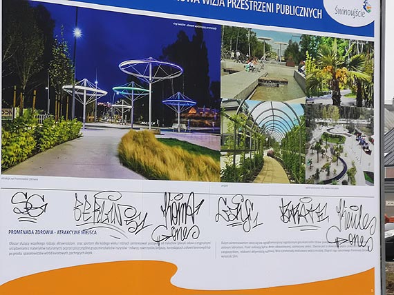 Internauta: Czy panujemy nad tym co się dzieje na nowych promenadach?