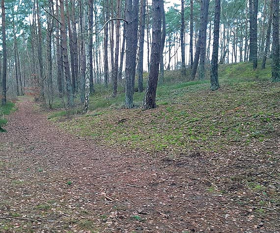 Agresywny pies rzucił się na drugiego czworonoga. A co, gdyby to było dziecko?