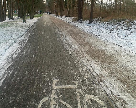 Czytelnik: liskie cieki rowerowe i ulice na osiedlach willowych