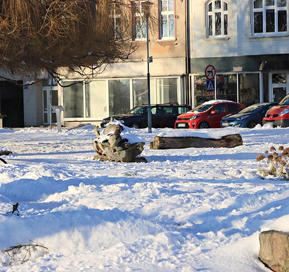 Prawie trzy lata na skwerze im. Makowskich ley zwalony kloc drewna. Zatem czy jest to atrakcja dla kornikw?