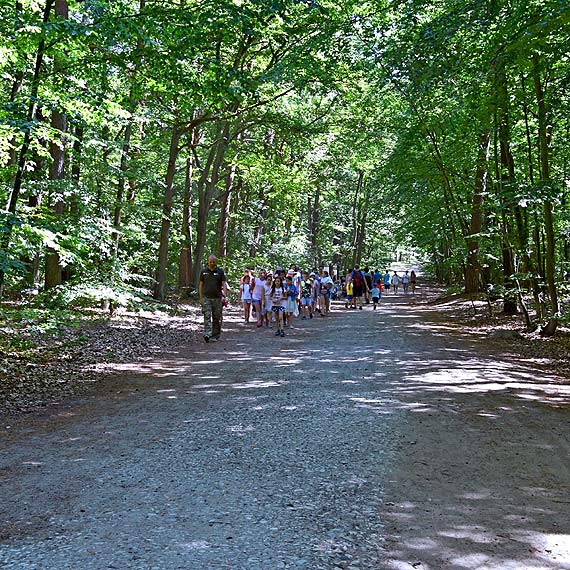 Rowerem przez Woliński Park Narodowy. Marszałek apeluje do ministra