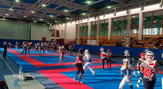 Zgrupowanie kadr wojewdzkich taekwondo