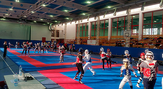 Zgrupowanie kadr wojewódzkich taekwondo