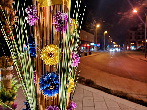 Palmowy zawrt gowy na Placu Wolnoci