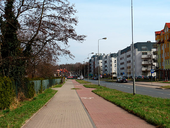 Mieszkaniec: Na 11 listopada wycięto z zimną krwią piękną, zdrową brzozę! Urzędnik nie mógł ominąć drzewa rowerem i się na nim zemścił?