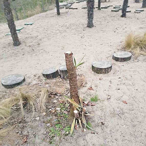 Miała być duma – jest wstyd