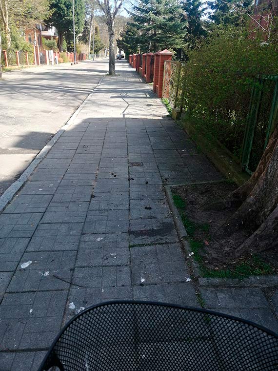 Mieszkaniec: Alejka psich ekskrementw