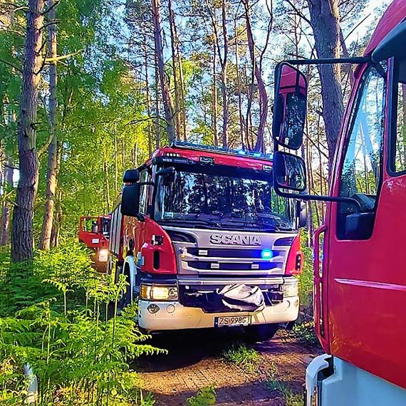 Mamy wicej informacji na temat poaru lasu przy ulicy Krzywej. Z ywioem walczy samolot ganiczy z Goleniowa