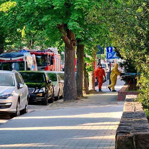 Ratownicy medyczni i straacy interweniowali w orodku wczasowym