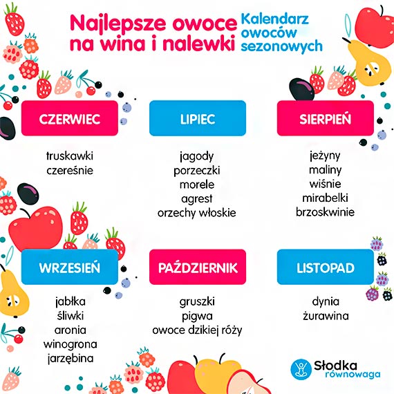 Najlepsze owocowe wina i nalewki. Zobacz, jak prosto zrobi domowy trunek