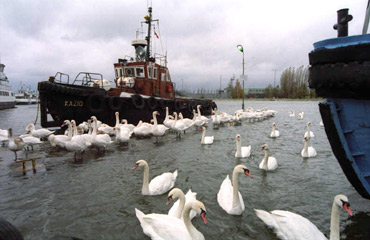 Były sztormy, będą sztormy…