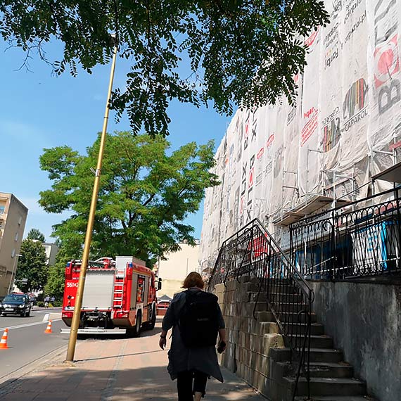 Młoda mewa utknęła na balkonie w galeriowcu. Na pomoc wezwano strażaków