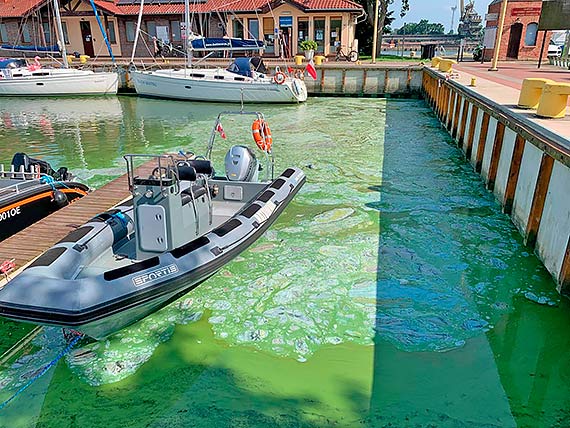 Marina pod błękitną flagą, a za burtami jachtów wciąż śmierdzi woda