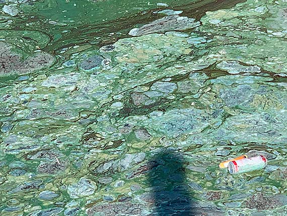 Marina pod błękitną flagą, a za burtami jachtów wciąż śmierdzi woda