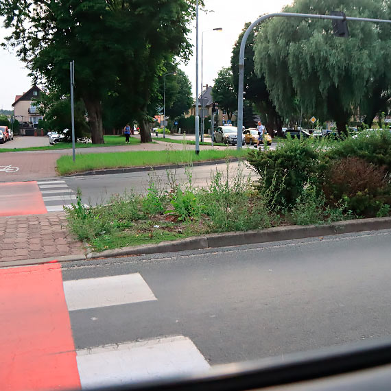 Zachwaszczone skwery na głównych ciągach komunikacyjnych